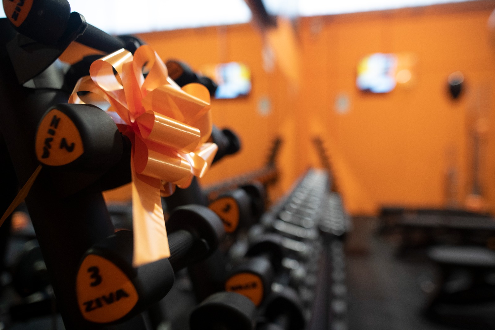 FitActive Voghera